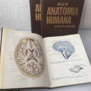 Atlas de Anatomía Humana 3 Tomos