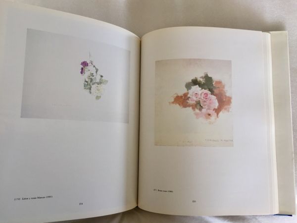 Antonio López Exposición Antológica 1993 Museo Reina Sofía - Imagen 6