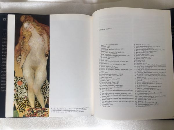 Gustav Klimt, Anaya