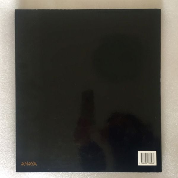 Libro de pintura