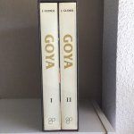 Goya Biografía Tomos I y II