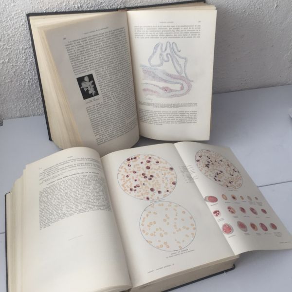 Tratado de Anatomía Patológica I y II, L. Aschoff