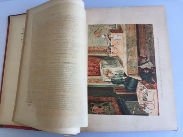 Formulario Enciclopédico de Medicina, Farmacia y Veterinaria 1889 - Imagen 12