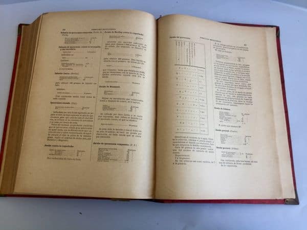 Formulario Enciclopédico de Medicina, Farmacia y Veterinaria 1889 - Imagen 15