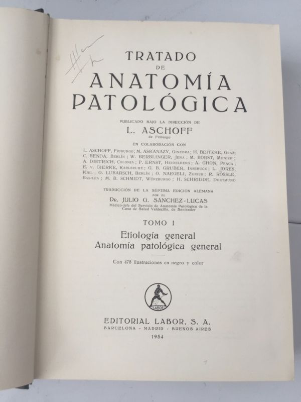 L. Aschoff Tomo I