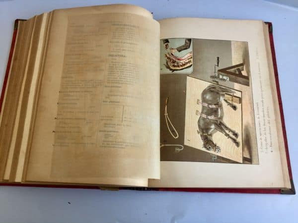 Formulario Enciclopédico de Veterinaria 1889 I y III