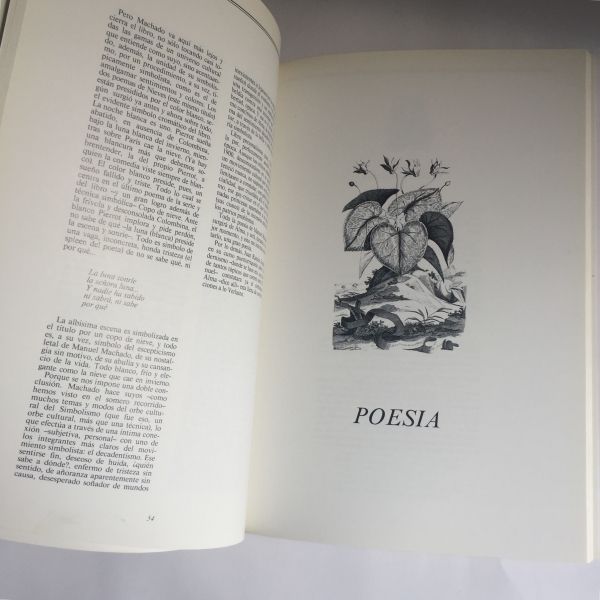 Poesía. El Simbolismo Soñadores y Visionarios