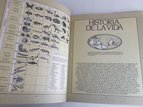 Hisroria de la Vida