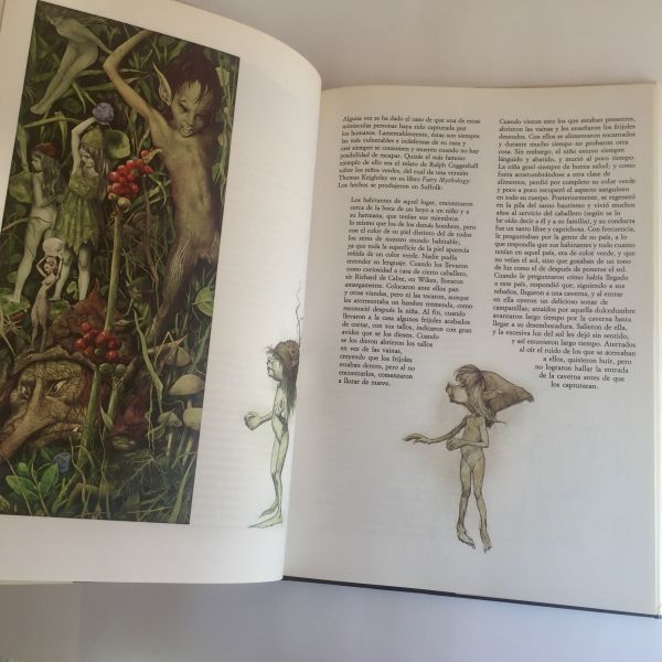 Hadas, Brian Froud y Alan Lee -  Montena, 1983 - Imagen 7