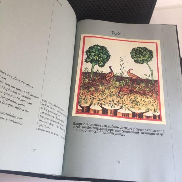 FMR Theatrum Sanitatis Liber magistri 8