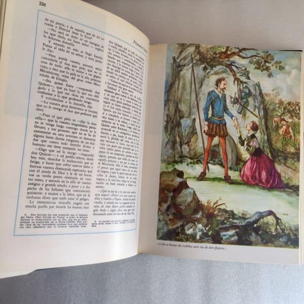 Don Quijote, Sopena 1969, ilustraciones Teodoro Delgado - Imagen 7