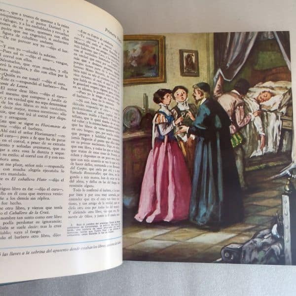 Don Quijote, Sopena 1969, ilustraciones Teodoro Delgado - Imagen 6