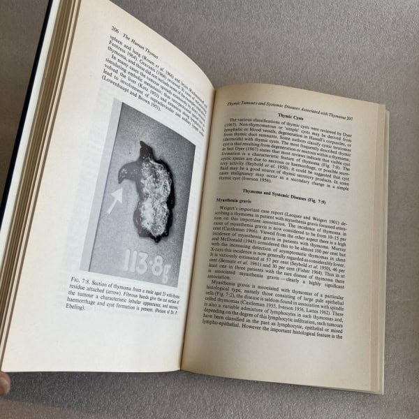 The human thimus Goldstein & Mackay 1ª edición