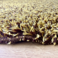 Alfombra redonda de lana pelo largo vintage