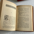 La caída del Abate Mouret, Zola