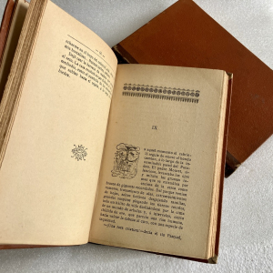 La caída del Abate Mouret, E. Zola