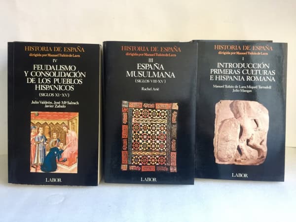 Historia de España, Manuel Tuñón de Lara. Diez tomos