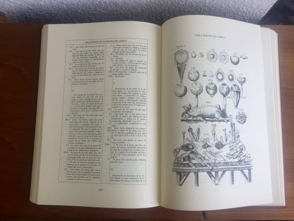 Historia de la composición del cuerpo humano