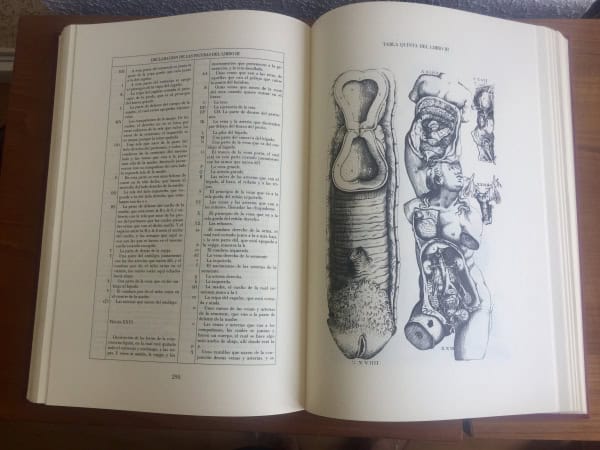 Historia de la composición del cuerpo humano