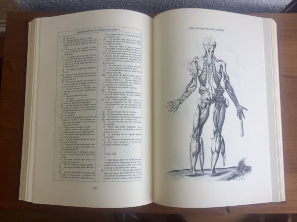 Historia de la composición del cuerpo humano