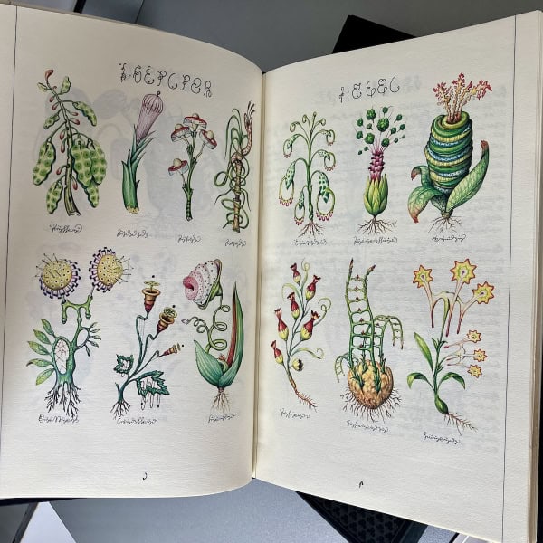 Codex Seraphinianus II Franco Maria Ricci FMR