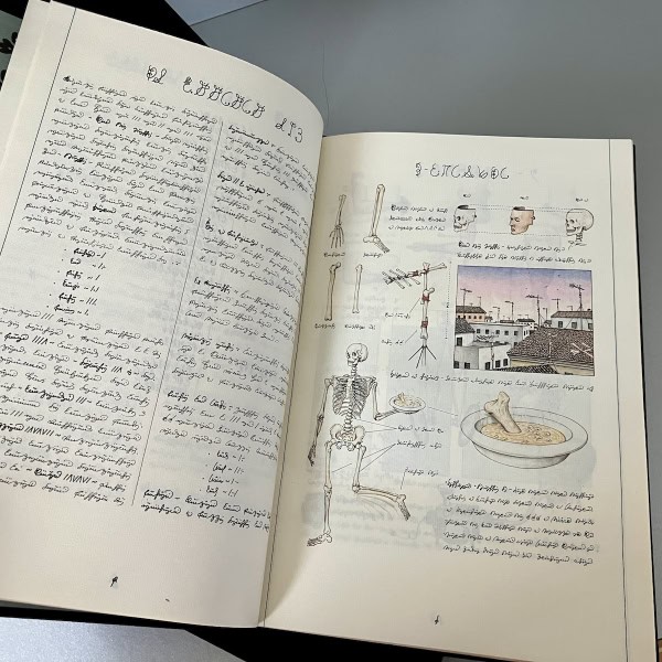 Codex Seraphinianus II Franco Maria Ricci FMR