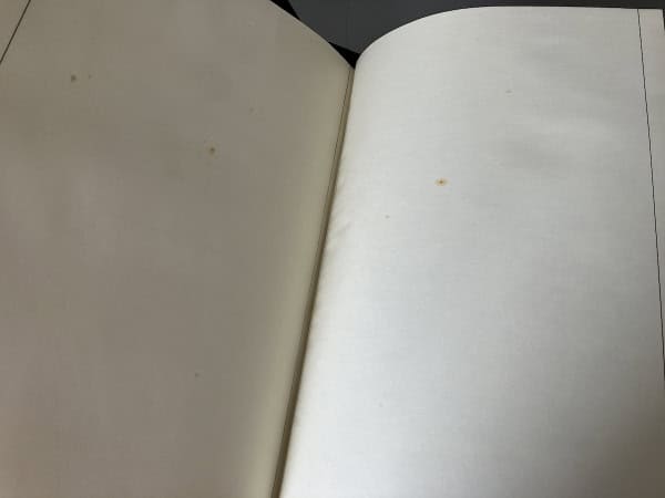 Codex Seraphinianus I y II. Franco Maria Ricci FMR 1981 - Imagen 15