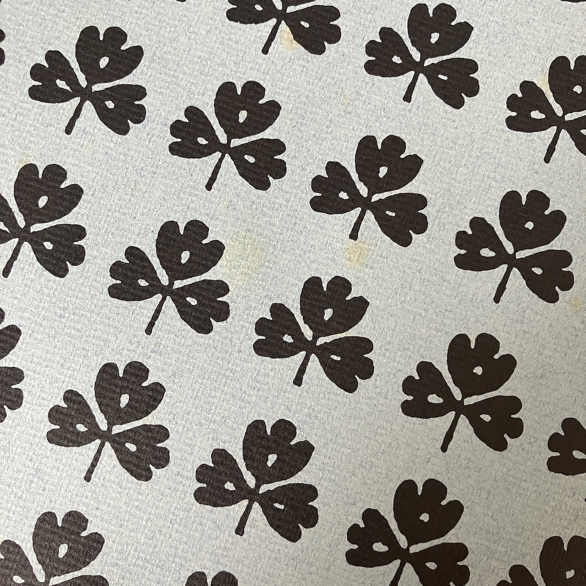 manchas Franco Maria Ricci. Los Signos del Hombre 8