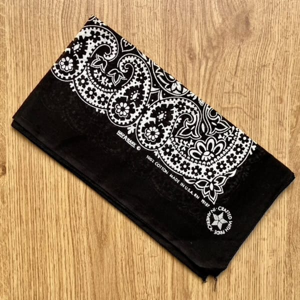 Pañuelo pasley negro Hav-a-Hank bandana