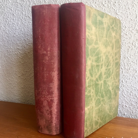 Manual de Patología General, Nóvoa Santos. 2 tomos