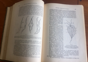 Manual de Patología General, Roberto Nóvoa Santos. 2 tomos