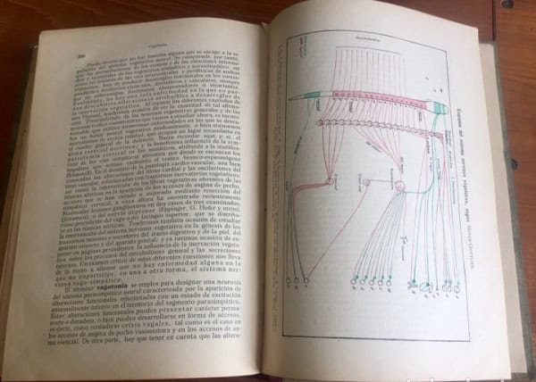 Libros de Medicina de Nóvoa Santos