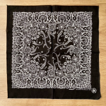 Pañuelo pasley negro Hav-a-Hank bandana