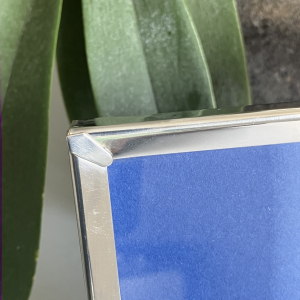 Detalle hoja Marco de fotos plateado estilo holandés