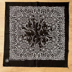 Pañuelo pasley negro Hav-a-Hank bandana