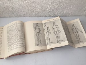 Tratado de Biotipología Humana, Tratado de Biotipología Humana Individual y Social, Nicola Pende 1947