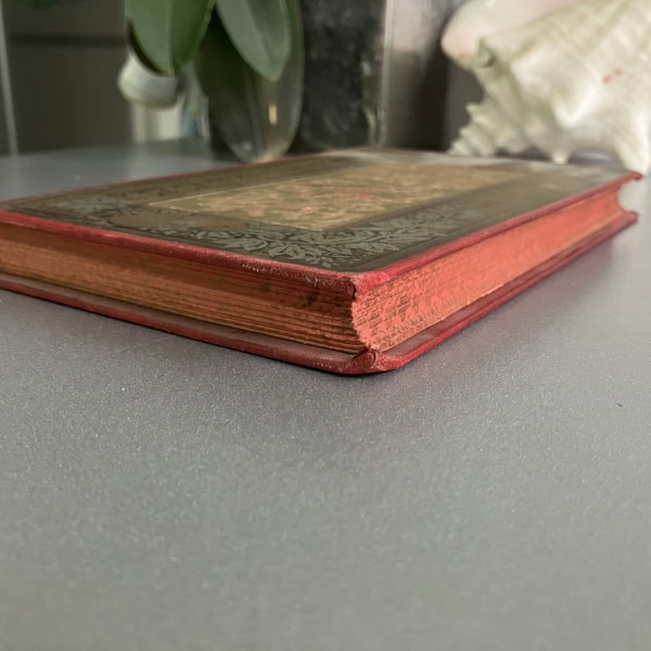Libro antiguo Bordes tintados
