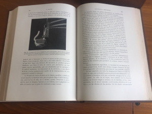 Tratado de terapéutica general y aplicada para médicos y estudiantes