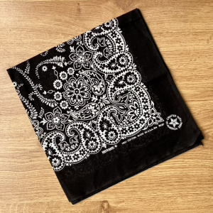 Pañuelo pasley negro Hav-a-Hank bandana