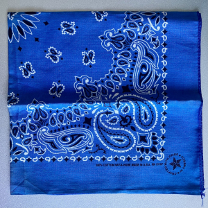 Pañuelo bandana USA Hav-a-Hank vintage de los años 90