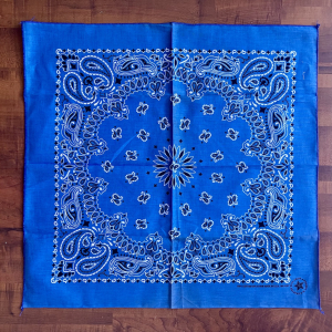 Pañuelo bandana USA vintage Hav-a-Hank de los años 90