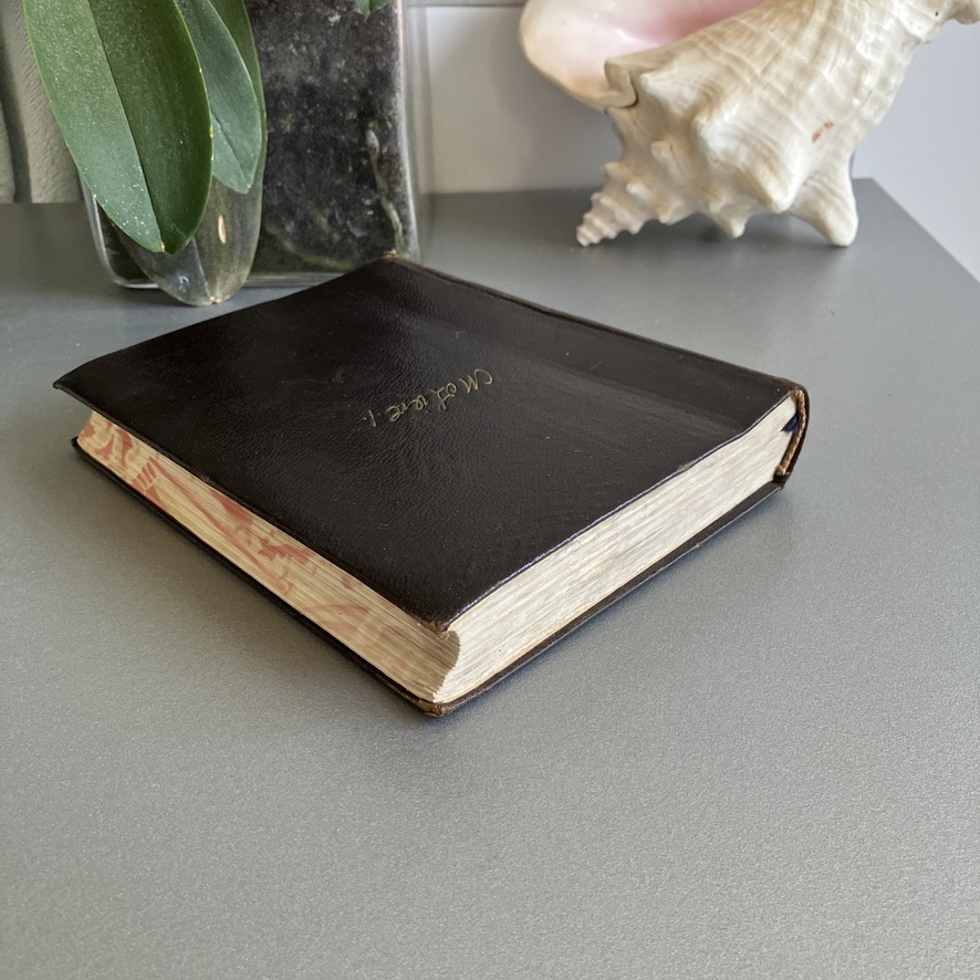 Cortes tintados Molière 2