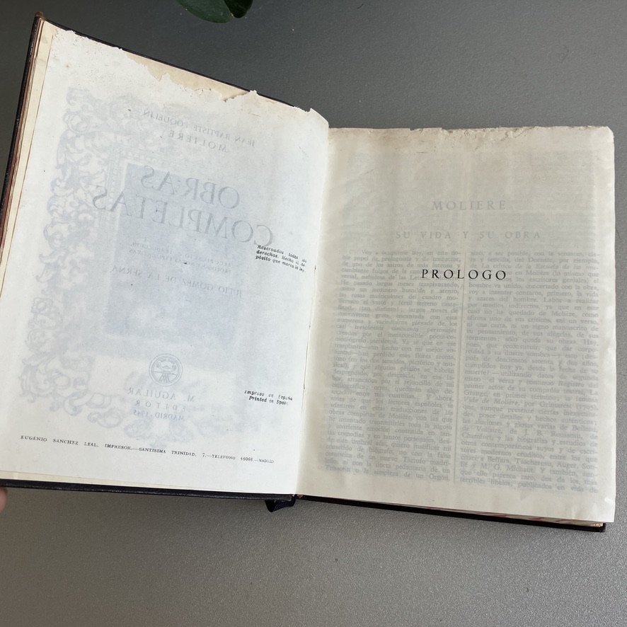 Páginas deterioradas