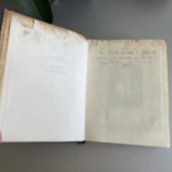 Firma del propietario, humedad