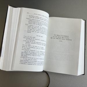 Interior Rafael Alberti, Poesía 1924-1967 Aguilar