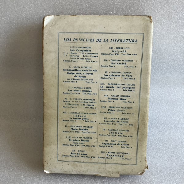 Contraportada Libro de viajes sobre La India