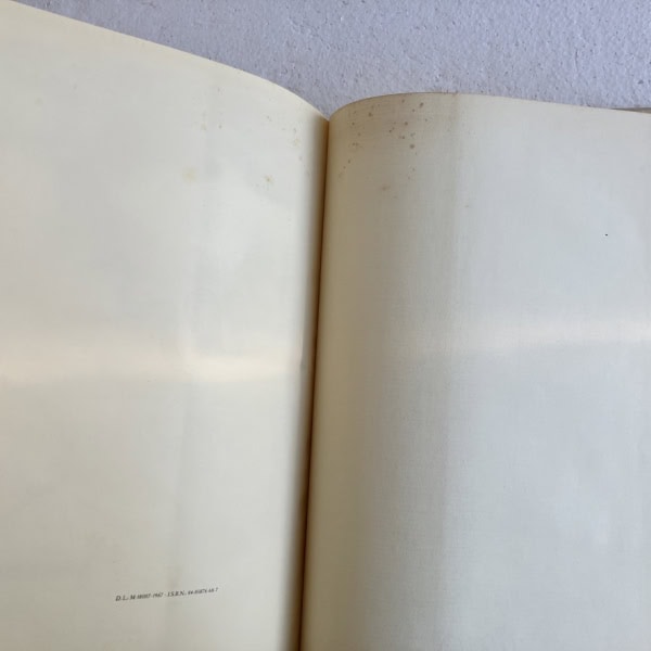 Libro antiguo Manchas en guardas