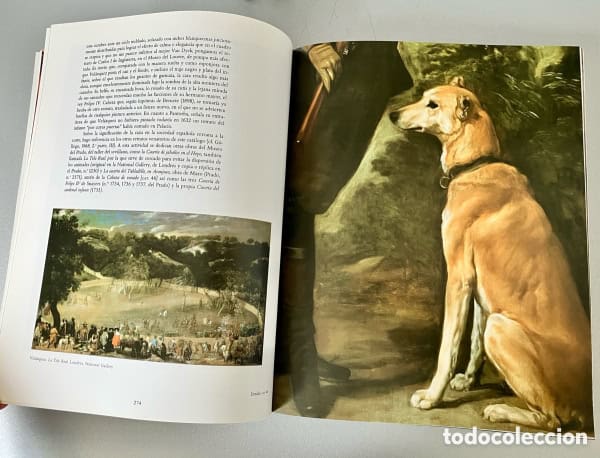 Velázquez | Catálogo exposición de 1990 en el Museo Del Prado de Madrid