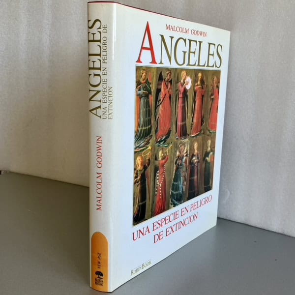 Ángeles Una especie en peligro de extinción — Malcolm Godwin | Robin Book 1991 | Angelología | Ilustrado color | Libro arte esoterismo