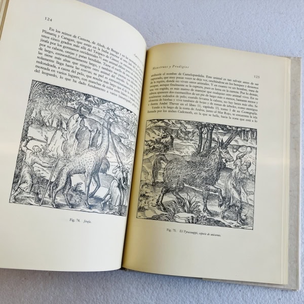 Libro antiguo: Monstruos y prodigios — Ambroise Paré | Siruela 1987 Primera Edición
